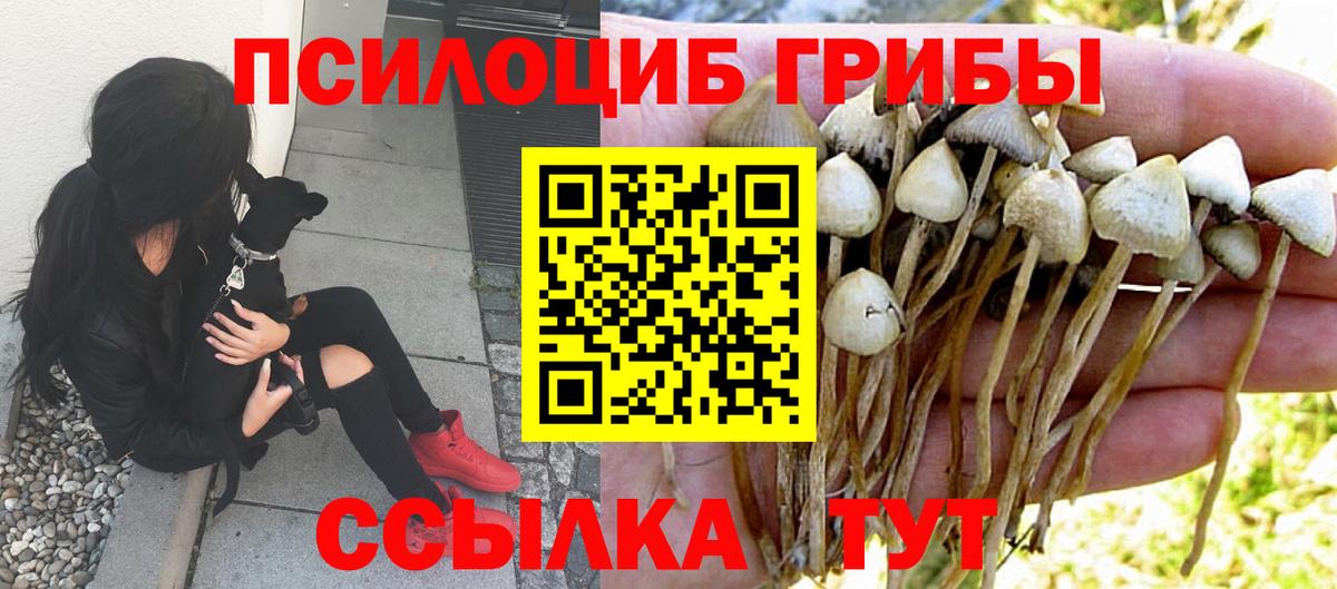 Галлюциногенные грибы мицелий Сургут